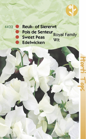 Lathyrus royal family wit Reuk of Siererwt) 1.25 - Klik op de afbeelding om het venster te sluiten